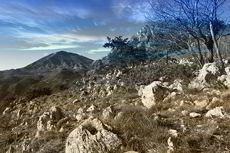 Monte Cifalco: Una cima di Monte Cifalco